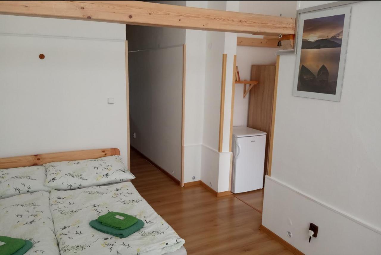 Apartment Pod Hradem Loket ภายนอก รูปภาพ