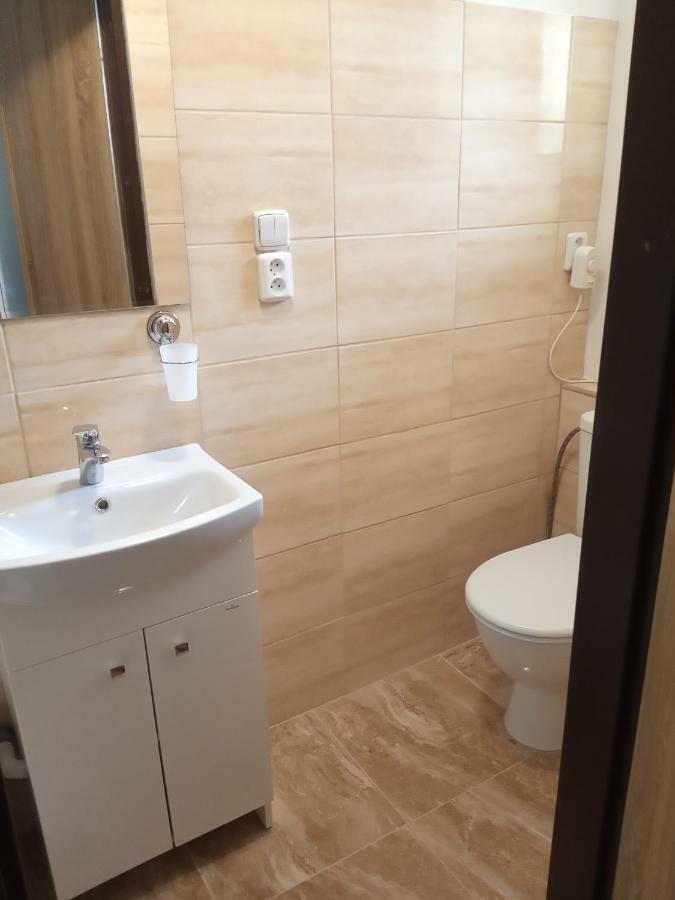 Apartment Pod Hradem Loket ภายนอก รูปภาพ